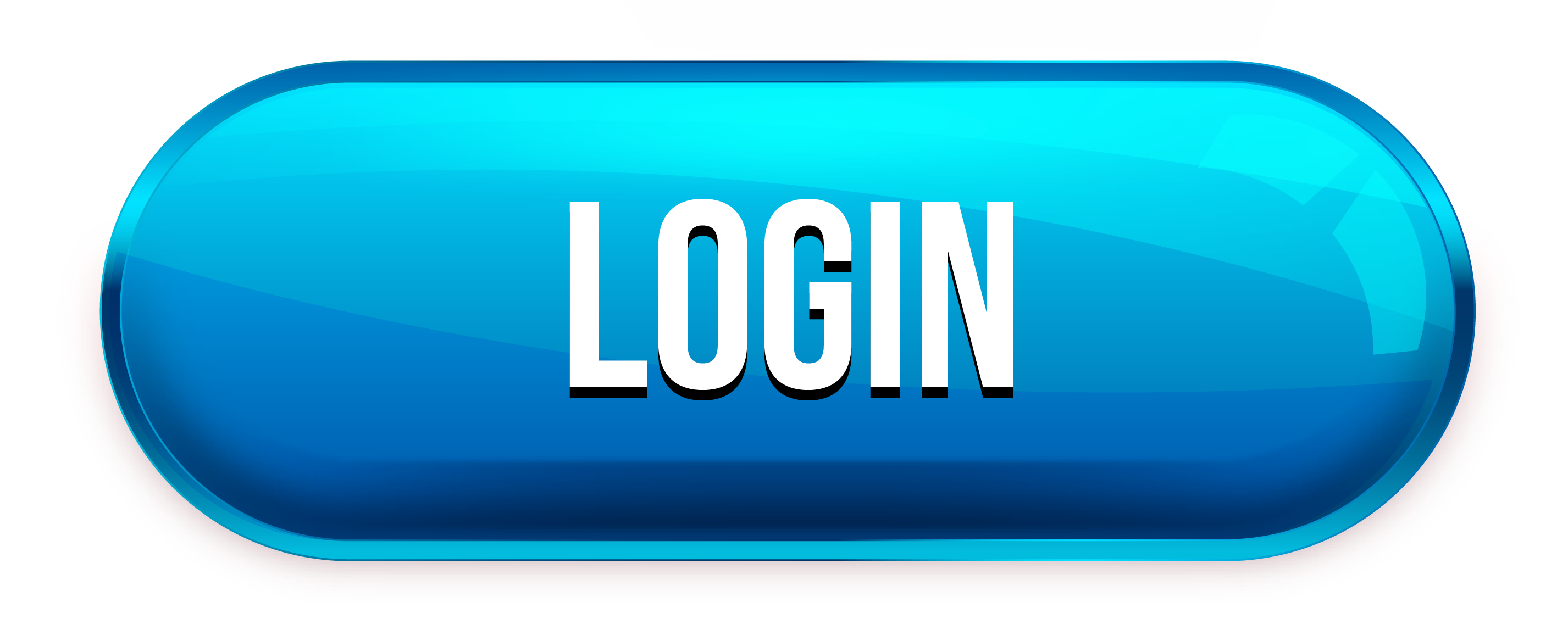 customer portal login
